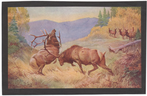 Vintage wildlife print circa 1900-1930s